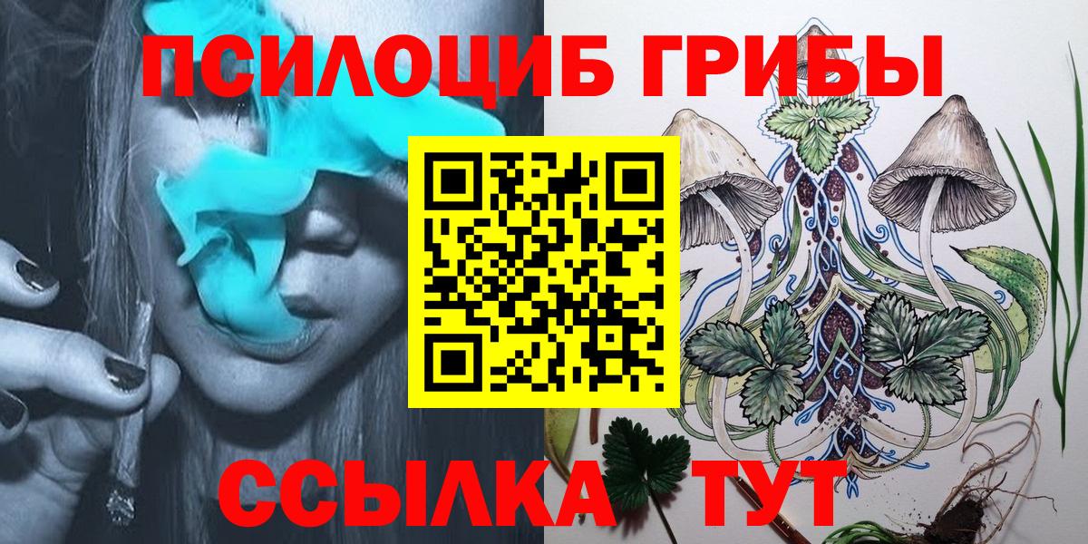 Йошкар-Ола  Псилоцибиновые грибы ЛСД  Вход с VPN 