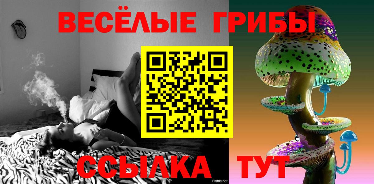 Галлюциногенные грибы мицелий Йошкар-Ола